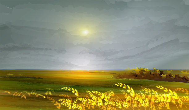 金色的麦田。秋天景色。农田和草地。图片下载