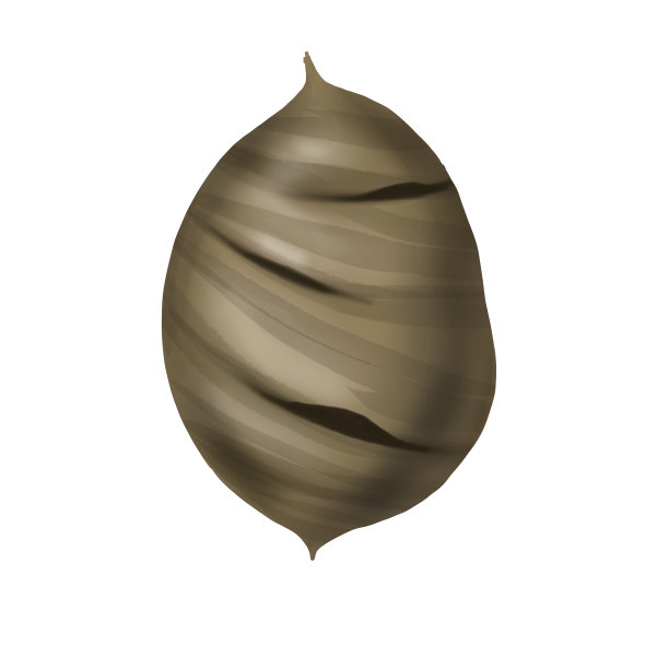 水彩蜂巢。野蜂之家。白色背景插图图片下载