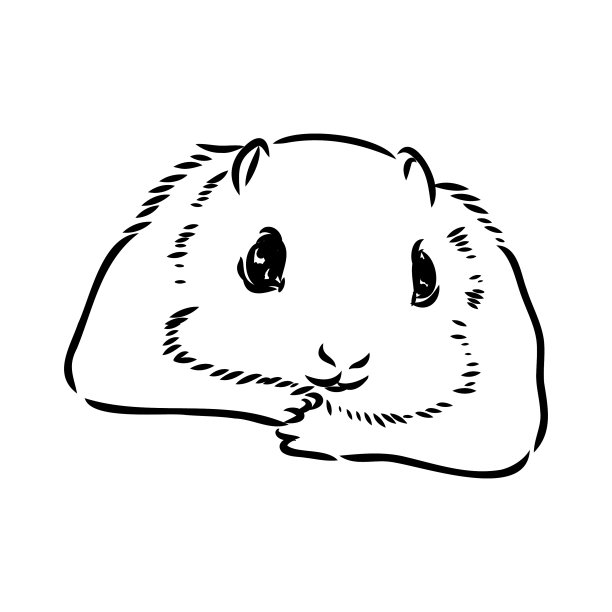 用手画飞鼠或者图片下载