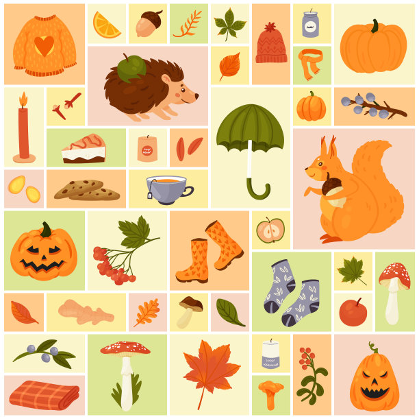 秋季集植物标本室的森林树叶图片下载