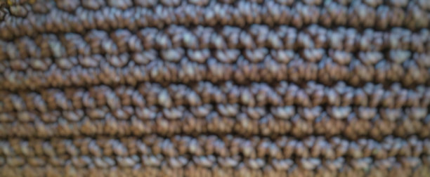 显微镜下见人卵中的毛滴虫卵图片下载