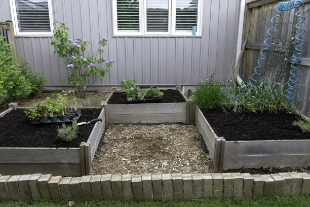 郊区后院菜园图片下载