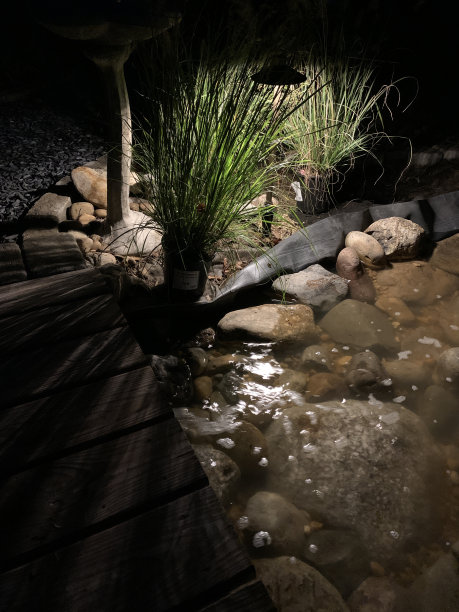 夜晚的池塘图片下载