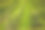 挪威的苹果树种植园，夏天，孩子们在检查苹果图片下载