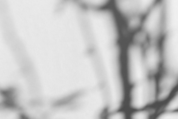 灰色背景上植物的影子。图片下载