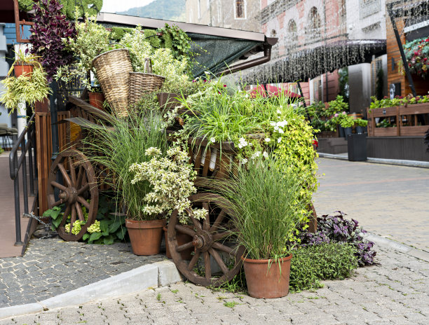 花店园艺市集外摆放各种盆栽花卉的摊位图片下载