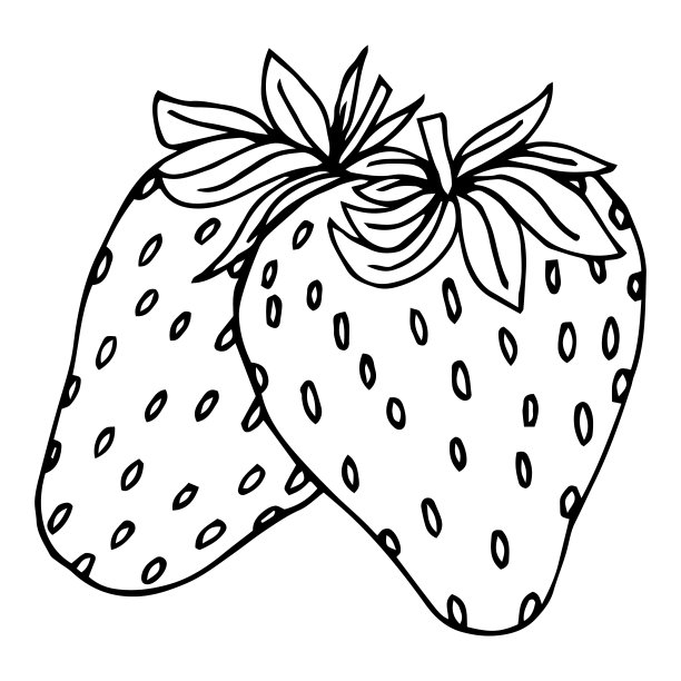在白色背景上手绘草莓矢量图片下载