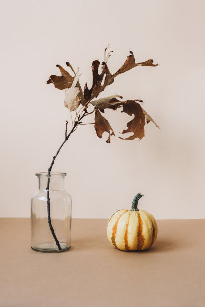 干燥橡木树枝在玻璃花瓶和装饰南瓜在米色桌子上。秋天,感恩节的概念。前视图素材图片