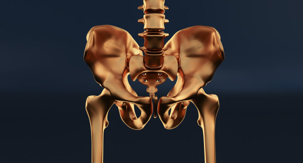 金色臀部在深色背景。深色背景下的人类骨盆。图片下载