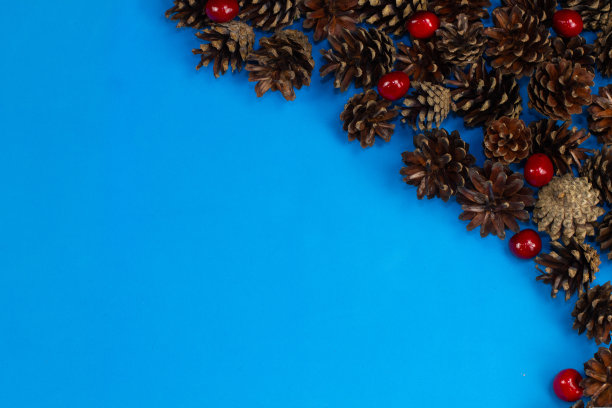 蓝色背景的圣诞卡片，漂亮地排列着圆锥体和浆果。明信片上有一个地方可以插入“圣诞快乐”几个字，送给所爱的人圣诞概念。图片下载