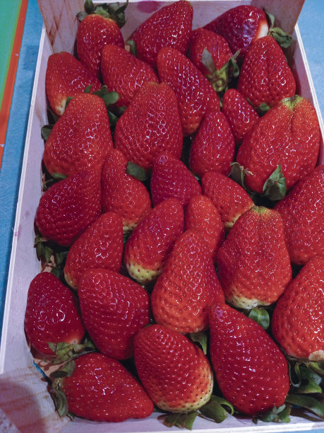 鸟瞰图上有一盒草莓棒可以吃图片下载