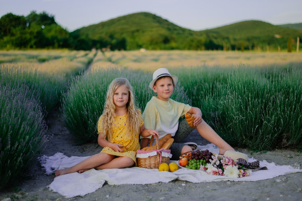 孩子们在夏天野餐时的照片，背景是一片薰衣草野图片下载