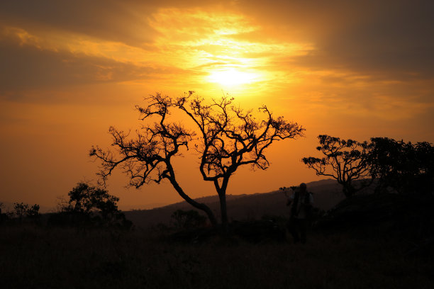 大草原环境，有日落，有山，有树图片下载