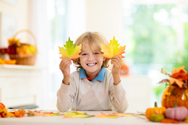 秋天的家居装饰。家庭装修的房子。图片下载