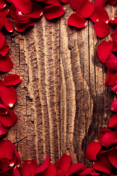 红玫瑰的花瓣覆盖着陈旧的木板图片下载
