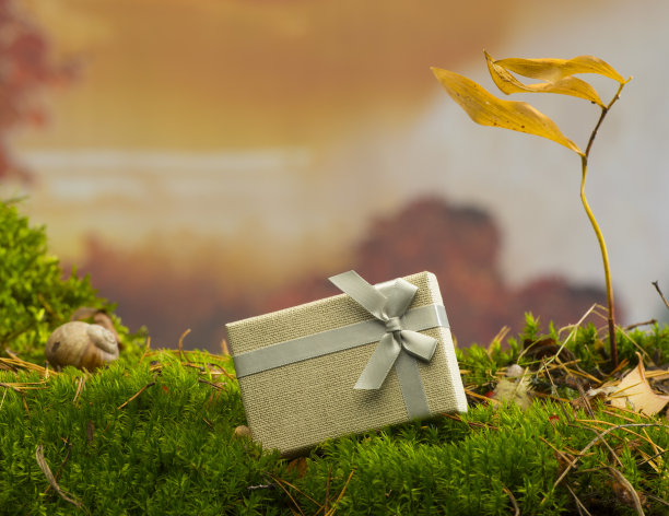 礼品盒与空白的文字和标识的苔藓背景图片下载