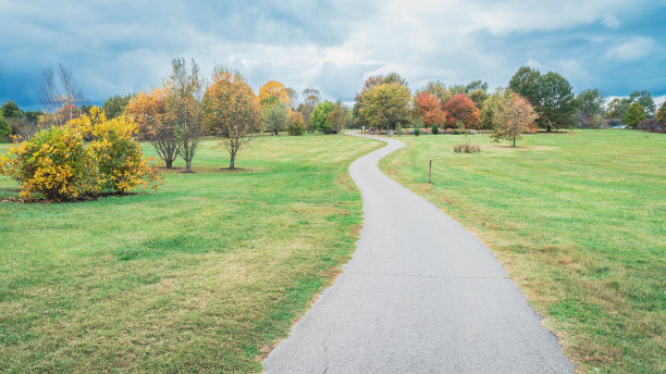 植物园中图片下载