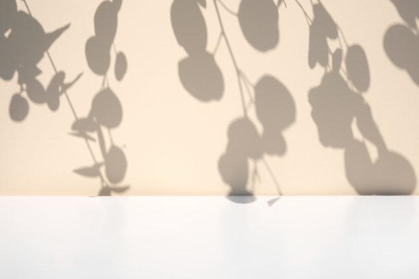 中性色的墙壁上有植物的影子。树叶的影子背景。柔和的工作室背景上的树枝、花朵和树叶。产品展示，最小的广告模型。时髦的叠加效果。图片下载