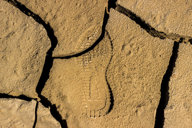 贫瘠土地上的足迹图片下载