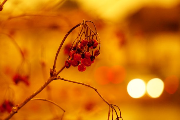 沙尘暴，又称沙尘暴，是干旱和半干旱地区常见的气象现象。图片下载