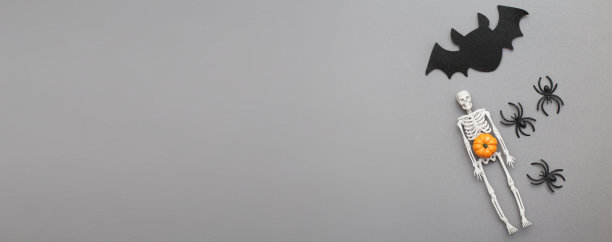 灰色背景上有南瓜、蝙蝠和黑蜘蛛的骷髅。万圣节的概念图片下载