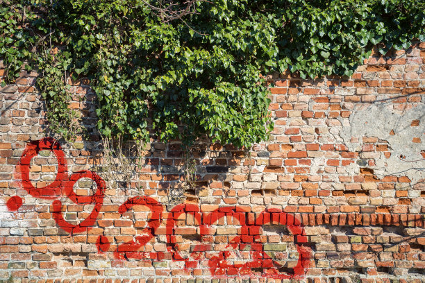 旧的毁灭图片下载