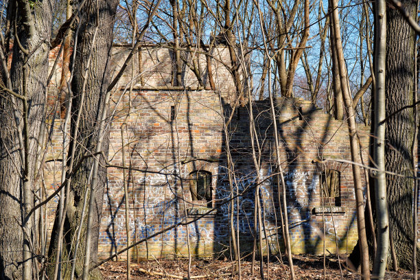 旧的毁灭图片下载