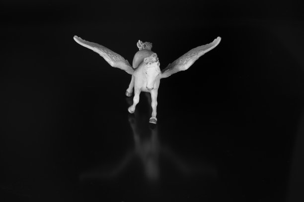 有翼的飞马孤立在黑色背景上图片下载