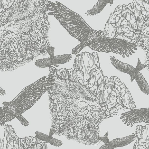 无缝模式与手绘景观和捕食鸟类图片下载