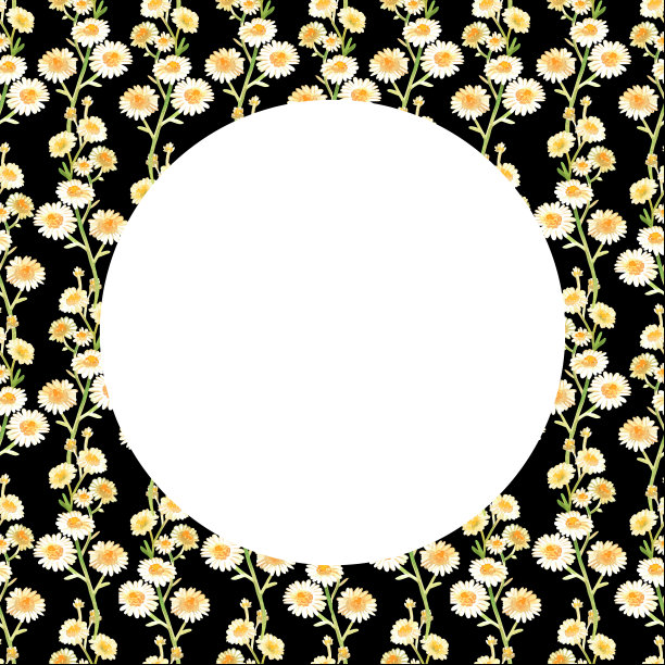 洋甘菊框架。水彩插图。孤立在黑色背景上。为设计。图片下载