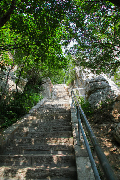 丛林中的阶梯图片下载
