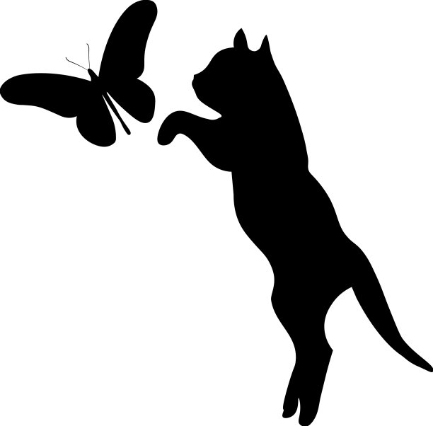 猫和蝴蝶图片下载