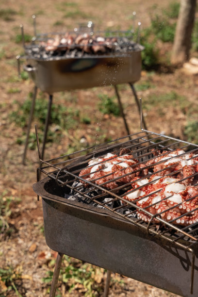 炭烤架上的新鲜章鱼，意大利。传统的地中海式饮食。图片下载