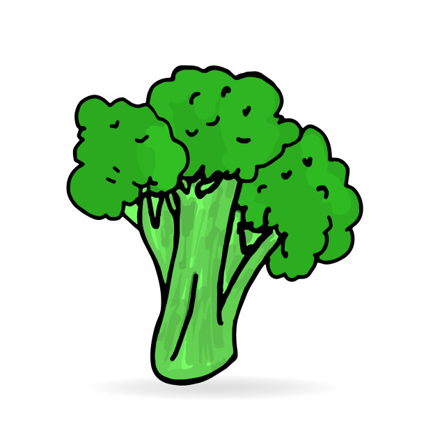 新鲜西兰花矢量图标的现实插画。图片下载