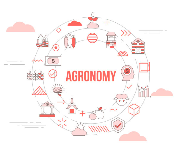 农艺概念与图标集模板旗帜和圆圆形状图片下载