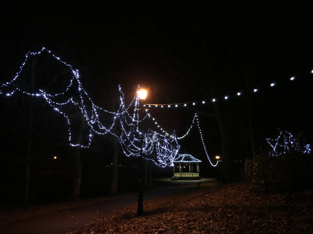 夜晚，村里的乐队在树上悬挂着一串串的彩灯图片下载