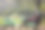 意大利福尔斯尼湖，一群中年女性徒步旅行者在美丽的高山湖旁的长凳上休息，用平板电脑拍下了一些户外照片图片下载