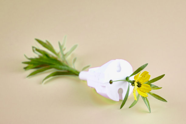 花草生长的概念生态清洁能源电插头图片下载