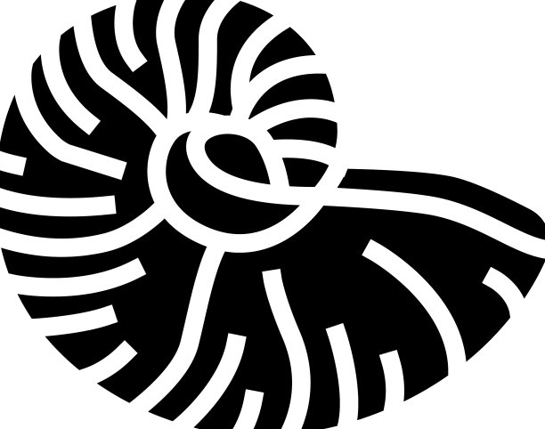 鹦鹉螺海贝壳海滩雕文图标图片下载