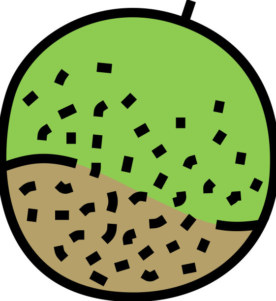 甜瓜绿哈密瓜色图标图片下载