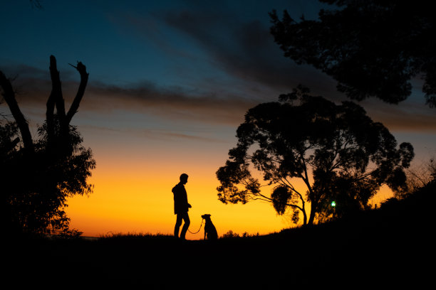男人和狗散步剪影明亮日落日出景观背景图片下载