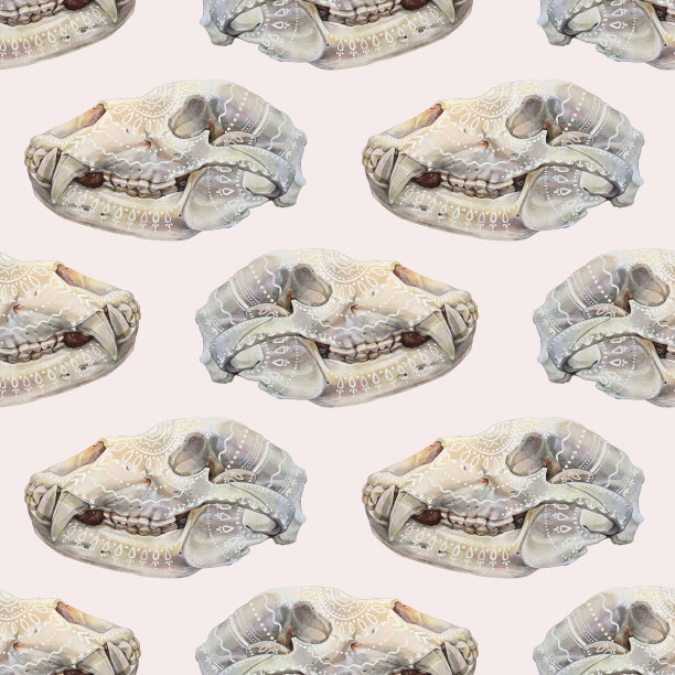 无缝图案水彩波西米亚熊头骨与华丽的灰色背景。实物解剖头哺乳动物为书或贴纸。手绘自然艺术的墙纸包装速写本图片下载