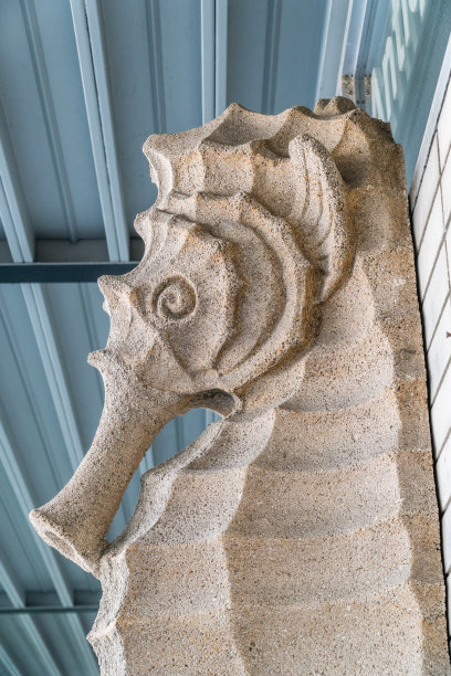 海马雕像图片下载