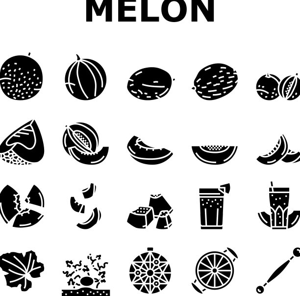 哈密瓜黄色水果图标套装图片下载