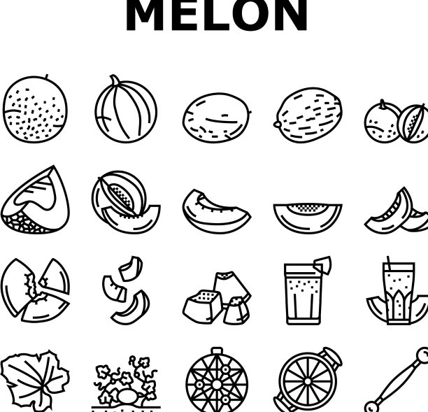 哈密瓜黄色水果图标套装图片下载