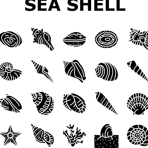 海贝壳海滩夏季海洋图标集图片下载