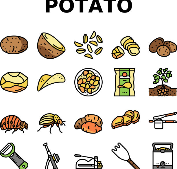 土豆蔬菜食物生的新鲜图标集图片下载