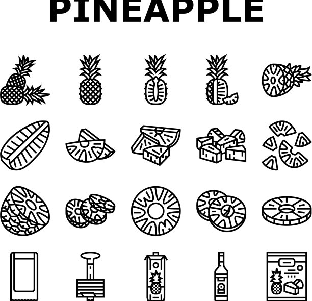 菠萝水果热带食物图标集图片下载