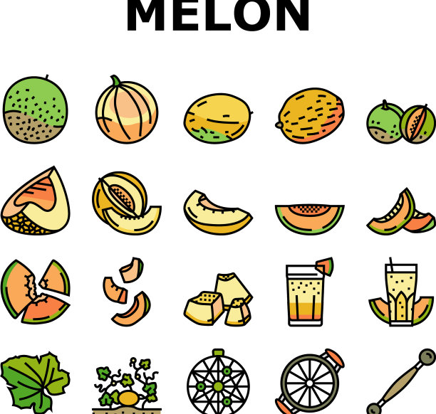 哈密瓜黄色水果图标套装图片下载