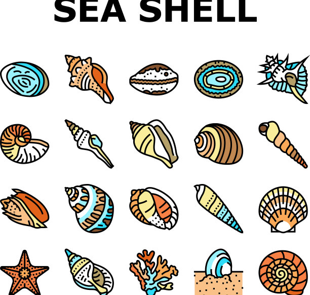 海贝壳海滩夏季海洋图标集图片下载